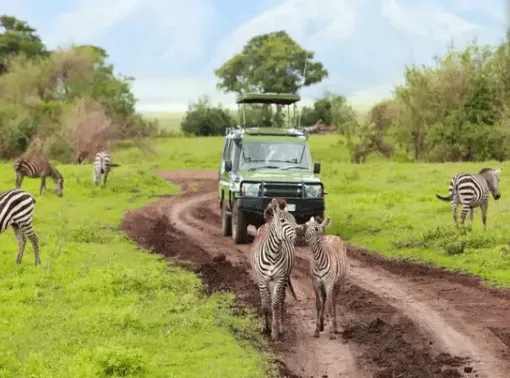 3 Days 2 Nights - Ngorongoro Crater, Tarangire & Cultural Interaction