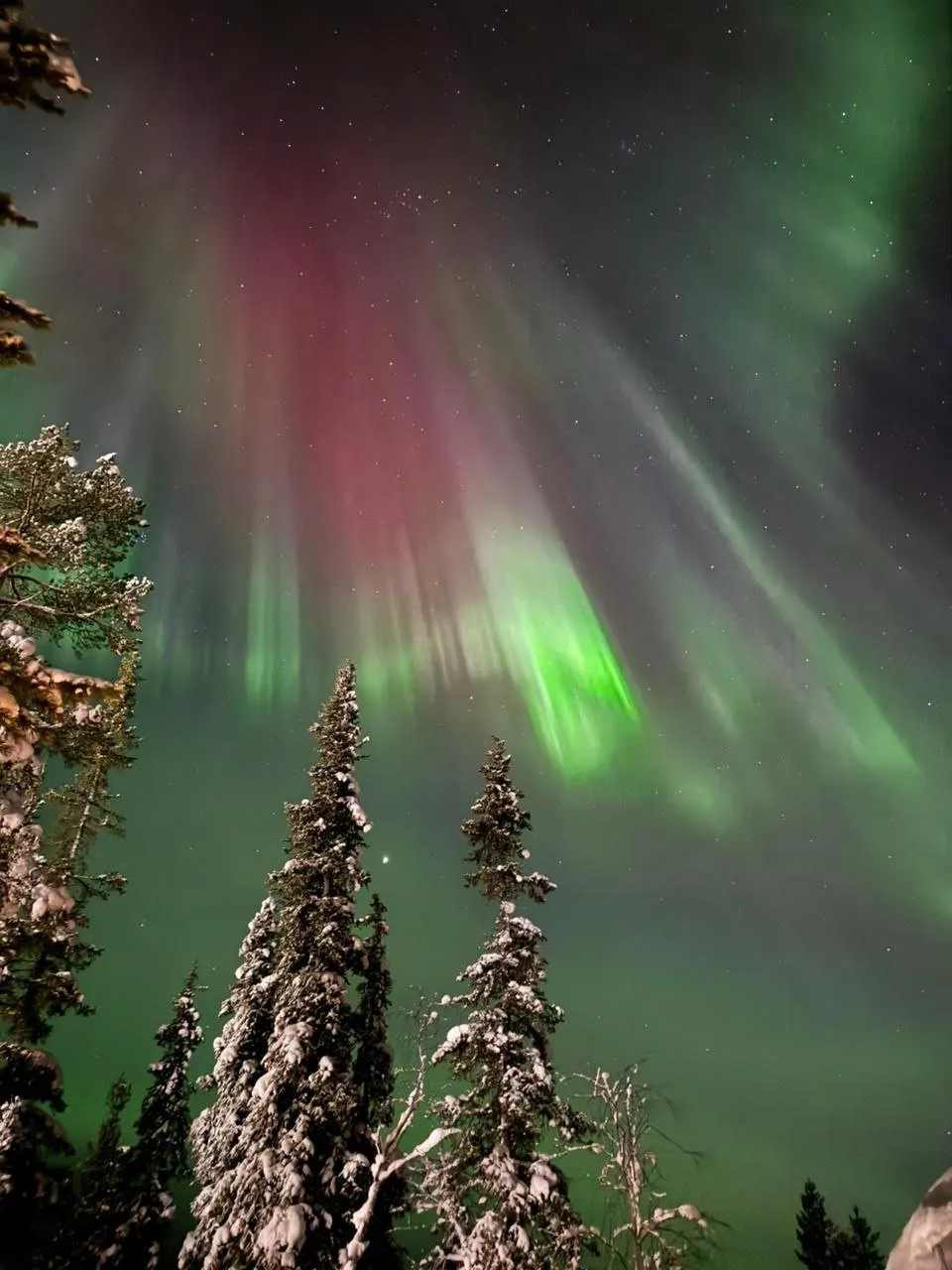 Murmansk - Russian North